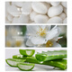 Shulei conditioner silk moisturizing and smooth target frizzy hair easy to knot hair plant extract essential oil hair moisturizing milk silk smooth conditioner 750g