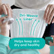 Pampers Baby Trockenen Einwegwindel 204 Stück Stück 1