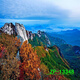
Internet celebrity live background cloth 3D three-dimensional landscape painting movable high-definition live room outdoor interior background wall ZP-13556 2.5 meters wide - 2.5 meters high (hook type)