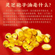 【送礼要选】灵芝孢子油软胶囊 可搭配太岁肉灵芝活体  五色灵芝 灵芝孢子粉 手术恢复营养品 2盒【4瓶装】+维生素C*1瓶