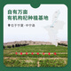 早康宁夏中宁早康1500亩有机基地】有机枸杞子袋装无农药无化肥180g 有机枸杞180g【经过560余项农残检测】
