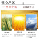 七河源新疆多用途小麦粉20斤装 新疆奇台面粉10kg 新国标GB/T1355-2021