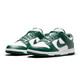 耐克（NIKE）Dunk Low (GS)女子黑白熊猫低帮耐磨运动板鞋 DD1391-101男子白绿 45