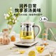 Hemisphere (PESKOE) Health Pot Tea Maker Multifunctional Kettle Intelligent Constant Temperature Electric Kettle 304 Food Grade Stainless Steel Thickened Egg Rack + Filter Model 1.8L