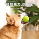 Huayuan Pet Toy (hoopet) dog toy tennis ball is a chew-resistant, self-stimulating and boredom-relieving artifact for medium and large dogs that consumes energy and is a pet product artifact.