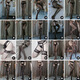 Long Night Cosplay Sexy Pajamas Sexy Underwear Men's Special Temptation Sex Thong Three-point Sexy Underwear Stockings Men's Sexy Underwear Stockings Going Out on a Date Bed Robe Free of Taking Off Sexy Clothes Randomly Send Two Specified Please Contact Customer Service - Men's Sexy Underwear Stockings
