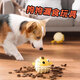 Hanhan Paradise Dog Toy Food Ball Border Collie Pet Small, Medium and Large Dog Corgi Interactive Bite-Resistant Boredom Relief Training Toy Supplies