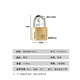 BLOSSOM Yayuan copper padlock 25MM drawer lock luggage lock dormitory cabinet door lock BC9025