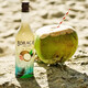 
Tandun Coconut Flavor Rum Rum Coconut Grove Flavor Cocktail Base Wine Slightly Intoxicated Low-alcohol Imported Foreign Liquor Coconut Flavor Rum 750mL 1 Bottle 25%vol