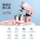 ACA dough mixer household small multi-functional egg mixing and kneading machine fully automatic dough mixing chef machine minced meat sausage component + juice (excluding machine) 6.2L