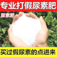 Manufacturer's direct delivery of general-purpose urea fertilizer nitrogen fertilizer for growing flowers, vegetables, fruit trees and flowers organic fertilizer nitrogen, phosphorus and potassium fertilizer urea vegetable special fertilizer 10 times the effect 5Jin Jin is equal to 0.5kg