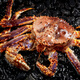 Dingdong Fresh Global Seafood Gift Box Neujahrswarenpaket Boutique Geschenkbox für Festival Geschenkbox für Enterprise Group Kauf Mitarbeiter Wohlfahrt Globales Meeresfrüchte 3888
