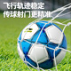 Li Ning Football No. 5 Adult Youth Primary School Students High School Entrance Exam Competition Training Special Children's Standard No. 5 Wear-Resistant Football