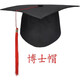 Junjia Customized Graduation Ceremony Top-Hut 18 Jahre alte Abschlussfeier der Abschlussfeier des Junggesellenhutes von Junggesellenhut Doctor's Hut Tutor Direktorin des Jahres-Englisch-Logos für Erwachsene (Plastik) einstellbar
