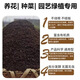 40Jin Jin is equal to 0.5kg. Pure sheep manure organic fertilizer for growing vegetables and flowers. Universal fermented chicken manure orchard nutrient soil. 29.9Jin Jin is equal to 0.5kg. No root burning, no insects and no smell. Inner Mongolia fermented pure sheep manure. 99 items left in the event.