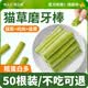 Greedy Wang Cat Grass Sticks Cat Snacks Freeze-dried Chicken Cat Grass Molar Sticks for Adult Kittens to Molar Teeth to Help Excretion Hair Balls Pet Cat Snacks Cat Grass Sticks 50 Sticks Chicken + Cat Grass + Egg Yolk