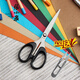 Zhang Xiaoquan scissors, home scissors, office tailoring, sewing scissors, student scissors, stainless steel small scissors, pointed paper-cut scissors SS-125, tip length 12.5 cm