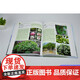 
[Authentic version] Common garden plants identification and application in South China Tree roll 9740 Shen Haicen China Forestry Book