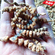 Mein Yutang Miaojia Guluzi Medicine Guizhou Perl Panax Notoginseng Chinesische medizinische Materialien Abacus Neun-Samen-Kettengras-Waschwäsche 500 g 500 g