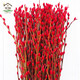 Hua Weng Flores reales Ramas frescas y flores secas Sala de estar interior Flores de Nochevieja 60 cm Sauce plateado/Festival Rojo 30 unidades + Colgante Fuente Cabello liso