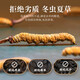 Usado en la cancha interior [Beijing Tongrentang First Golden Grass] Cordyceps sinensis 1G aproximadamente 3-5 pasto nutritivo empapado en vino y regalos