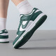 Nike (Nike) Zapatos de hombres oficiales Spring Spring New Cowhide Leather Sneakers sin deslizamiento, zapatos informales de bajo techo resistentes al desgaste DD1391-101-White y Green 42