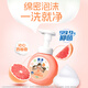 Lion Qujing Foam Antibacterial Hand Sanitizer Qinxin Grapefruit Scent 250ml Antibacterial Moisturizing Family 99.9% Antibacterial Imported
