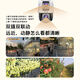 Tenda Outdoor Security Überwachung Kamera Dualkamera Outdoor drahtlosen Ball Monitor HD 360 Grad ohne blinde Spot Panoramablick mit Nachtsicht Mobiltelefon Remotezustand Subvention