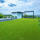 Qingya Lawn Simulated Turf Sun Room Glass Top Insulated Roof Artificial Artificial Outdoor Green Plastic Carpet 2cm Encrypted Thickened Spring Grass-Green Bottom Upgraded Insulation 5 Flat 1m Long * 5m Wide