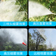 Electric vehicle sprayer for agricultural use, fully automatic 48V60V, new high-pressure sprayer for fruit trees, new pesticide sprayer, 48/60V dual motor + 200m pipe