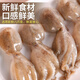 Three dolphins spicy octopus Qingdao fish juice small seafood small headshot eight belt seafood cooked food can 300g*3 cans
