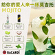 Bacardi Mumbai Stone Gin 500ml + Weißer Rum 500ml Fremdwein Misch
