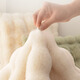 Cream style rabbit fur carpet, bubble velvet floor mat, bedroom bedside blanket, living room bay window mat, sofa blanket, coffee table mat, plush carpet, beige 60*100cm