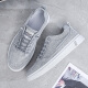YaoJingLieRen men's shoes summer 2024 new sports and leisure old Beijing cloth shoes men's summer breathable work canvas shoes gray 42