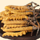 Peking Tongrentang Qualität Cordyceps Lhasa Versand authentisch Cordyceps Geschenkbox Pack gebrochen Cordyceps Trocken Knoblauch Geschenkbox Geschenkbox 2 Stangen 1 g Knoblauch Geschenkbox 20 Stangen 10 g insgesamt [Geschenk Can]