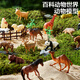 Wild Knight Children's Toys Animal World Boys Puzzle Soft Glue Model Model Set Box 40 Подарки на день рождения