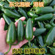 GEWOSI fresh Hong Kong peppers, Mexican peppers, pickled peppers, spicy, thin skin and thick flesh, seasonal farm-grown whole box supermarket vegetables, peppers 5*0.5kg, spicy