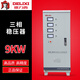Delixi voltage stabilizer 6kw9000w three-phase AC 9kw high-precision SVC 380V 20KW380V SJW__30K_ (three-phase)