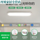 何健弓过道走廊led吸顶现代简约北欧长条客厅书房阳台具J263 16W 3892-白色40CM-无极16W