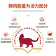 Freeze-dried cat snacks, freeze-dried cats into kittens nutrition, 400g craving chicken breast