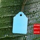 100 цветных пластиковых бирок для растений из ПВХ для цветов и садовых горшечных растений, маленькие бирки для рассады, сочные бирки, синие 7х5 см/100 штук в пачке