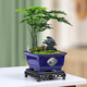 Yuxuantang Chinese ink style ceramic retro flower pot household desktop succulent pots Wenzhu June snow Clivia landscape pot YYX1429 with base