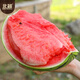Beishu watermelon seed seedlings Kirin 8424 sweet crisp potted watermelon seeds rock sugar Kirin melon seeds about 800 barrels