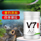 Fish attractant fruit acid V7 fishing medicine special black pit wild fishing bait crucian carp and grass carp killing nest nest material highly concentrated opening V7 fish attractant two bottles