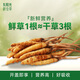 Dongyang Sunshine Fresh Cordyceps Box cadeau Cordyceps Gift nutritionnel haut-gir