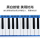 FEIFAN飞繁 口风琴37键小学生专用儿童成人专业演奏级吹管乐器 蓝色