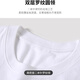 战浩【2件】纯棉短袖t恤男夏季衣服圆领半袖宽松白上衣纯色打底衫体恤 白色+白色 XL 建议【130-145斤】