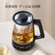 OUMETE constant temperature tea kettle, tea kettle, spray steam tea kettle, health pot, glass thermal insulation tea kettle OMT-PC1051 (dual network)