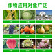 Guoguang Pesticide Naphthalene Acetate Plant Growth Regulator Flower Preservation and Fruit Preservation Medicine Prevent Fruit Falling Fruit Tree Flower and Fruit Treasure 100ml