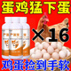 Laying hen feed, quail, duck and goose, general inducing egg, calcium supplement, nutritional granules, hen full-price feed, grains and grains, 16 bottles, picked up with soft hands